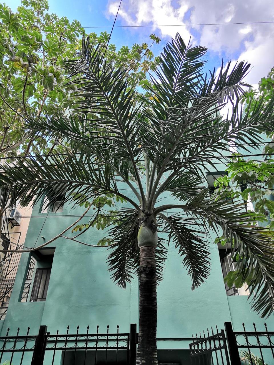 Rentalife Playa Playa del Carmen Eksteriør billede